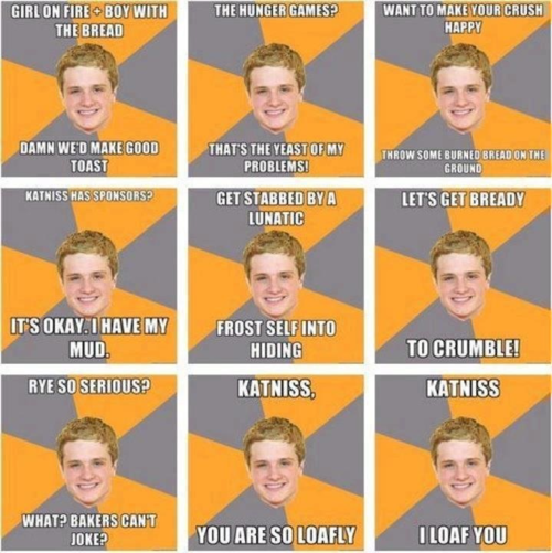 For fans of the hunger games